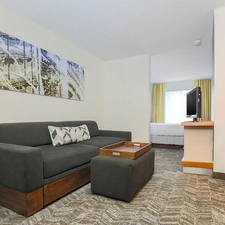 Springhill Suites By Marriott Houston Brookhollow מראה חיצוני תמונה